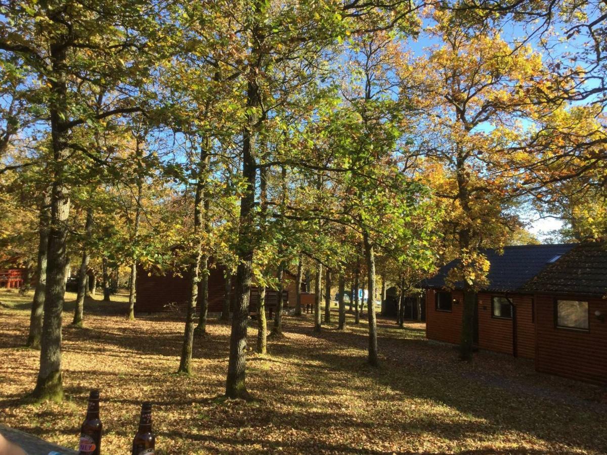 Genieterke Villa Somme-Leuze Bagian luar foto